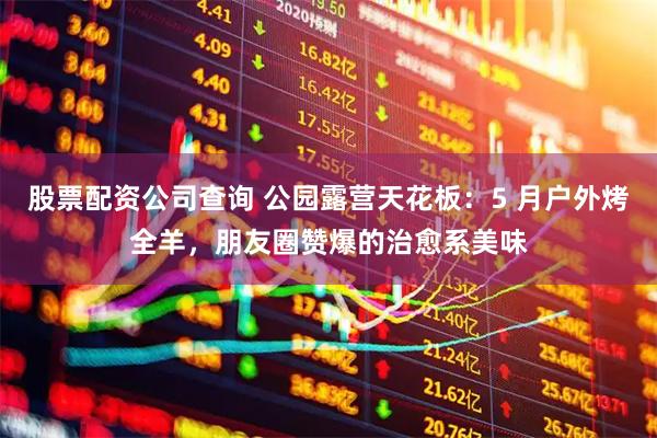 股票配资公司查询 公园露营天花板：5 月户外烤全羊，朋友圈赞爆的治愈系美味